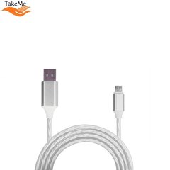 TakeMe TM-LED-MICRO-SI kaina ir informacija | Laidai telefonams | pigu.lt