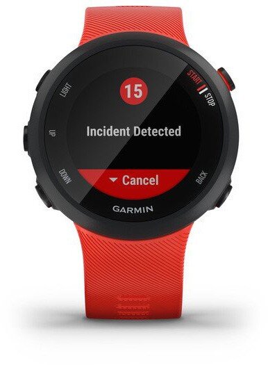 Garmin Forerunner® 45 Lava Red kaina ir informacija | Išmanieji laikrodžiai (smartwatch) | pigu.lt