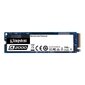 Kingston SA2000M8/1000G kaina ir informacija | Vidiniai kietieji diskai (HDD, SSD, Hybrid) | pigu.lt