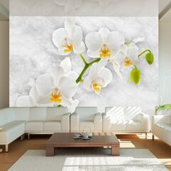 Fototapetai - Lyriškos orchidėjos - Balta kaina ir informacija | Fototapetai | pigu.lt