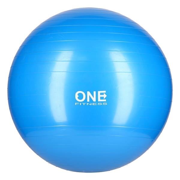 Gimnastikos kamuolys One Fitness 10, 55 cm kaina ir informacija | Gimnastikos kamuoliai | pigu.lt