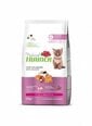 Trainer Natural Cat Kitten Chicken kačiukams su lašiša 1,5kg