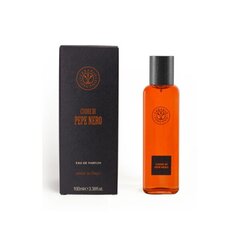 Kvapusis vanduo Erbario Toscano Black Pepper EDP vyrams 100 ml kaina ir informacija | Kvepalai vyrams | pigu.lt