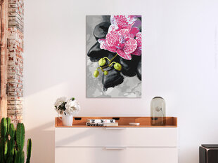 Tapyba pagal skaičius Pink Orchid 40x60 cm kaina ir informacija | Tapyba pagal skaičius | pigu.lt
