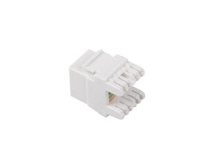 Коннектор RJ45 Lanberg KSUA-1000 Cat6 UTP цена и информация | Адаптеры, USB-разветвители | pigu.lt