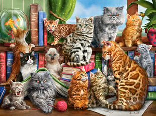 Castorland dėlionė House of Cats, 2000 detalių kaina ir informacija | Dėlionės (puzzle) | pigu.lt