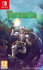 Terraria (Switch) цена и информация | Компьютерные игры | pigu.lt