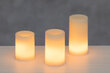 Dekoratyvinių LED žvakių komplektas Finnlumor, 3 vnt kaina ir informacija | Žvakės, Žvakidės | pigu.lt