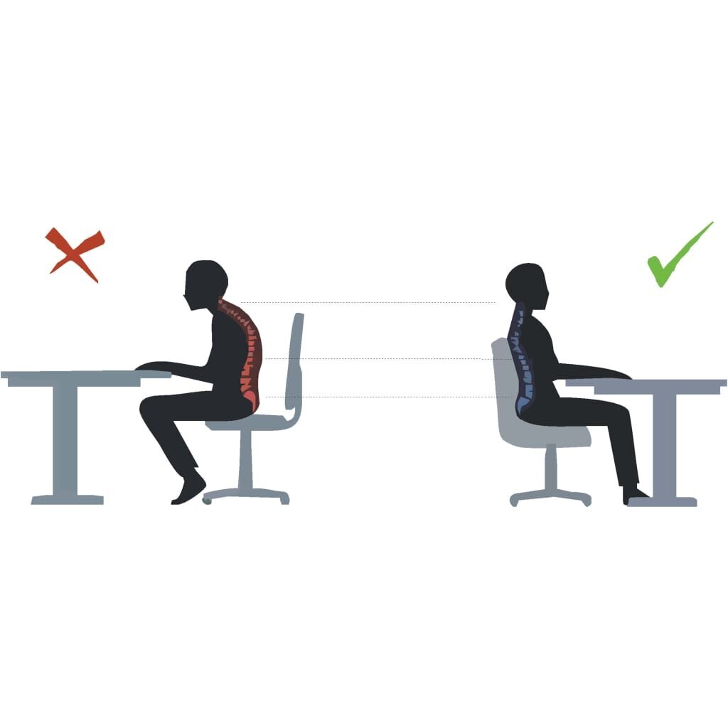 Ergonomiška biuro kėdė Entelo Norm, šviesiai pilka kaina ir informacija | Biuro kėdės | pigu.lt