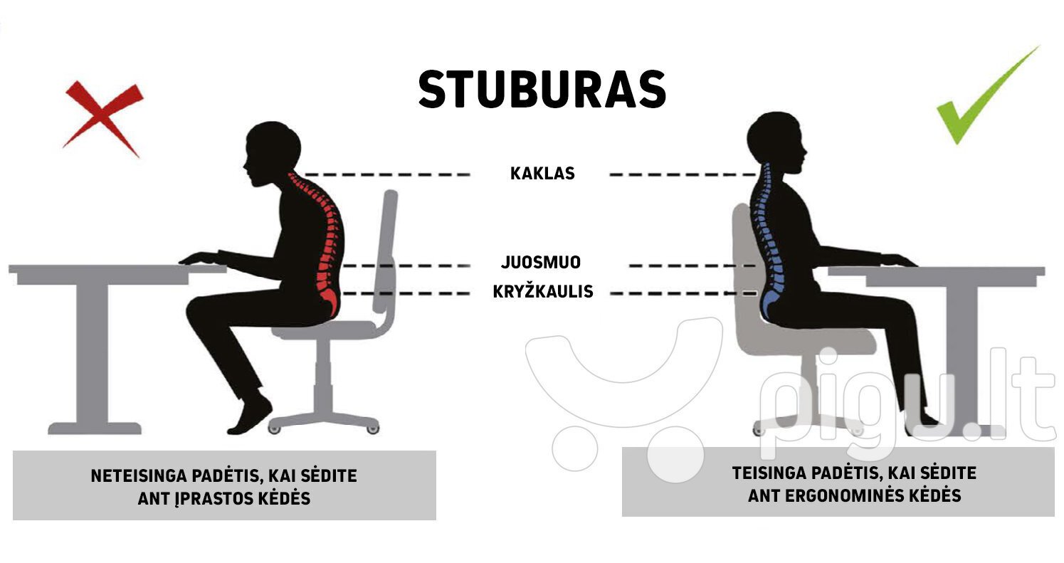 Ergonomiška vaikiška kėdė Entelo Good Chair Duo ST31, rožinė/spalvota цена и информация | Biuro kėdės | pigu.lt