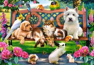 Пазл Puzzle Castorland Pets in the Park, 1000 деталек цена и информация | Пазлы | pigu.lt
