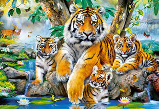 Пазл Puzzle Castorland Tigers by the Stream, 1000 деталек цена и информация | Пазлы | pigu.lt