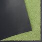 Hanse Home durų kilimėlis Wash & Clean, 40x60 cm kaina ir informacija | Durų kilimėliai | pigu.lt