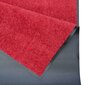 Hanse Home durų kilimėlis Wash & Clean, 60x90 cm kaina ir informacija | Durų kilimėliai | pigu.lt