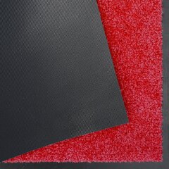 Hanse Home durų kilimėlis Wash & Clean, 60x90 cm kaina ir informacija | Durų kilimėliai | pigu.lt
