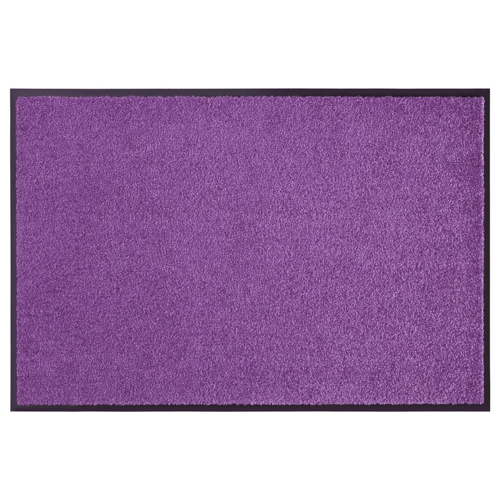 Hanse Home durų kilimėlis Wash & Clean, 60x90 cm цена и информация | Durų kilimėliai | pigu.lt