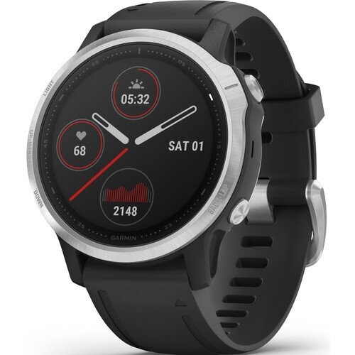 Garmin fēnix® 6S Silver/Black kaina ir informacija | Išmanieji laikrodžiai (smartwatch) | pigu.lt