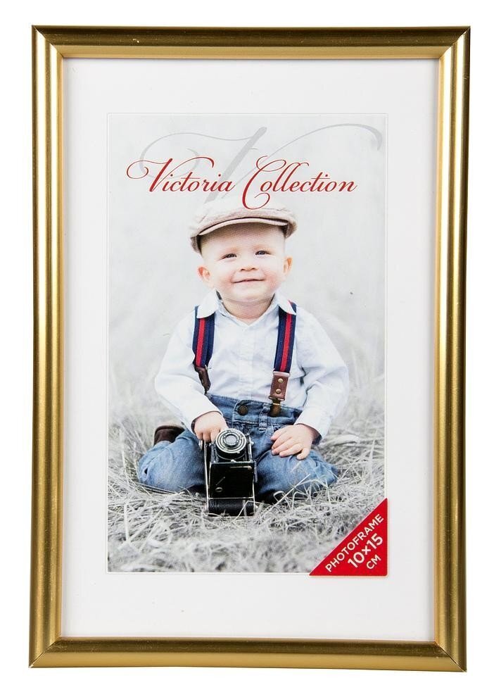 Nuotraukų rėmelis Future 10x15, auksinis kaina ir informacija | Rėmeliai, nuotraukų albumai | pigu.lt