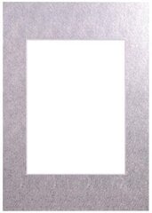 Паспарт 21х29,7, серебро цена и информация | Рамки, фотоальбомы | pigu.lt