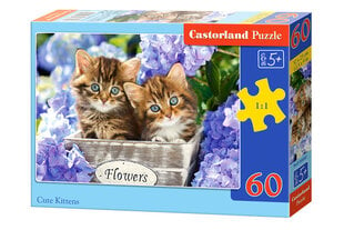 CASTORLAND пазл Милые котята, 60 шт., B-066087 цена и информация | Пазлы | pigu.lt