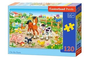 APLANKYMAS ŪKIOJE * 120 * kaina ir informacija | Dėlionės (puzzle) | pigu.lt