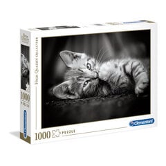 Dėlionė Clementoni High Quality Collection Kitty (Kačiukas), 1000 d. kaina ir informacija | Clementoni Vaikams ir kūdikiams | pigu.lt