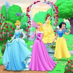 Dėlionė Ravensburger Disney Princess 3 x 49 dalis kaina ir informacija | Dėlionės (puzzle) | pigu.lt