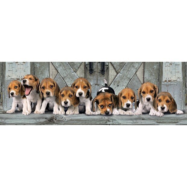 Dėlionė Clementoni Panorama High Quality Beagles 1000 d. цена и информация | Dėlionės (puzzle) | pigu.lt