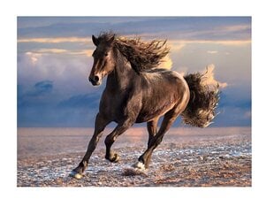 Пазл Clementoni High Quality Дикая лошадь, 1000 д. цена и информация | Пазлы | pigu.lt