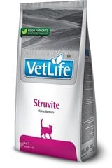 Сухой корм для кошек Farmina Pet Food STRUVITE FELINE, 2 кг цена и информация | Сухой корм для кошек | pigu.lt