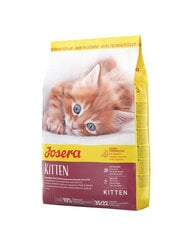 Josera augantiems kačiukams Kitten, 10 kg kaina ir informacija | Josera Gyvūnų prekės | pigu.lt