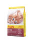 Josera augantiems kačiukams Kitten, 10 kg kaina ir informacija | Sausas maistas katėms | pigu.lt