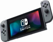 Nintendo Switch V2, 32GB, Pilka (2019) цена и информация | Žaidimų konsolės | pigu.lt