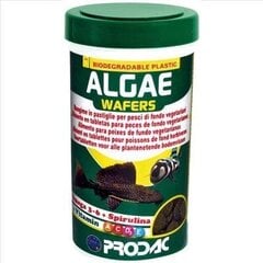 Prodac Algae Wafers augalinės tabletės žuvims 100ml 50g kaina ir informacija | Prodac Egzotiniams gyvūnams | pigu.lt