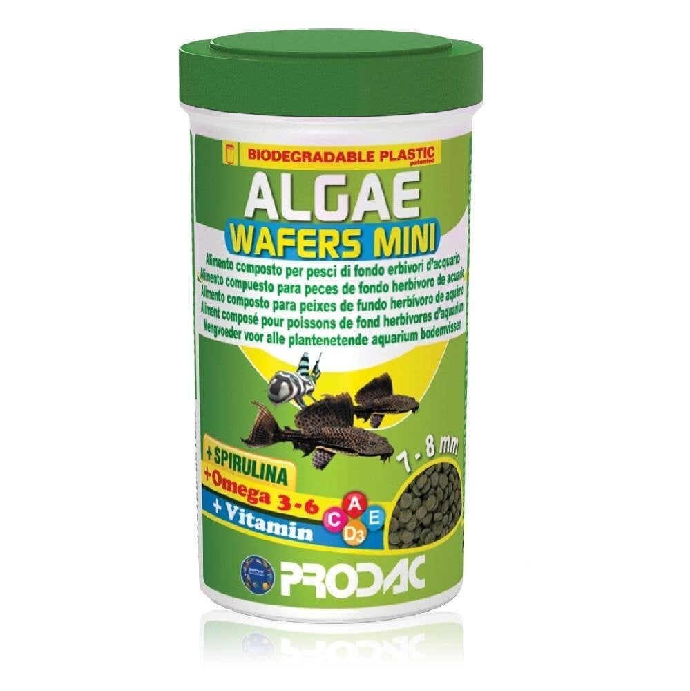 Prodac Algae Wafers Mini augalinės tabletės žuvims 7-8mm 250ml 135g kaina ir informacija | Maistas žuvims | pigu.lt