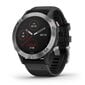 Garmin fēnix® 6 Silver/Black цена и информация | Išmanieji laikrodžiai (smartwatch) | pigu.lt
