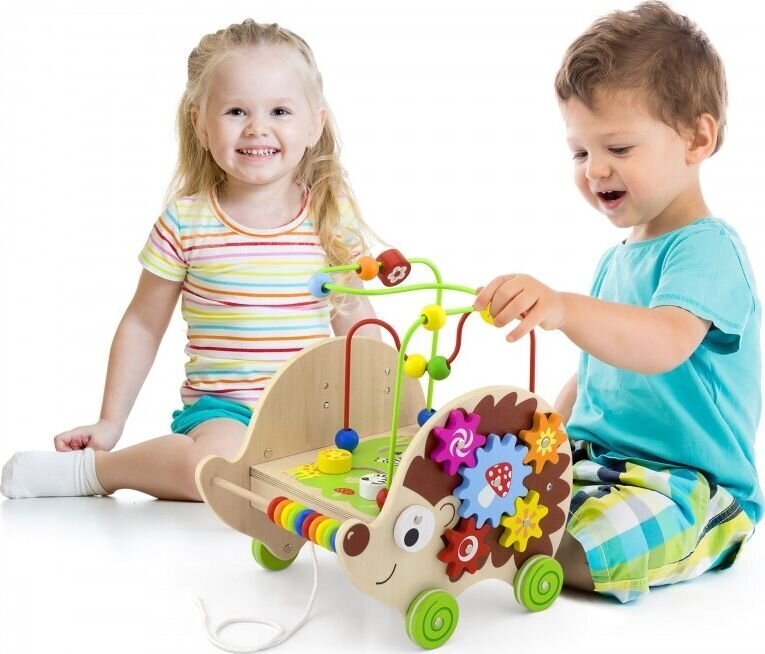 Medinis edukacinis labirintas 4in1 "Ežiukas" kaina ir informacija | Žaislai kūdikiams | pigu.lt