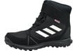 Aulinukai vaikams Adidas Terrex Snow Cf Cp Cw Jr S80885 kaina ir informacija | Aulinukai vaikams | pigu.lt