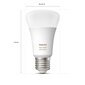 LED lemputė Philips 929002216801 kaina ir informacija | Elektros lemputės | pigu.lt