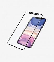 Защитное стекло PanzerGlass iPhone XR 6.1" (2019) цена и информация | Google Pixel 3a - 3mk FlexibleGlass Lite™ защитная пленка для экрана | pigu.lt