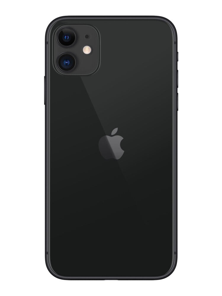 Apple iPhone 11 128GB black MHDH3 kaina ir informacija | Mobilieji telefonai | pigu.lt