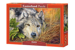 Dėlionė Castorland Puzzle Pure Soul, 500 d. kaina ir informacija | Dėlionės (puzzle) | pigu.lt