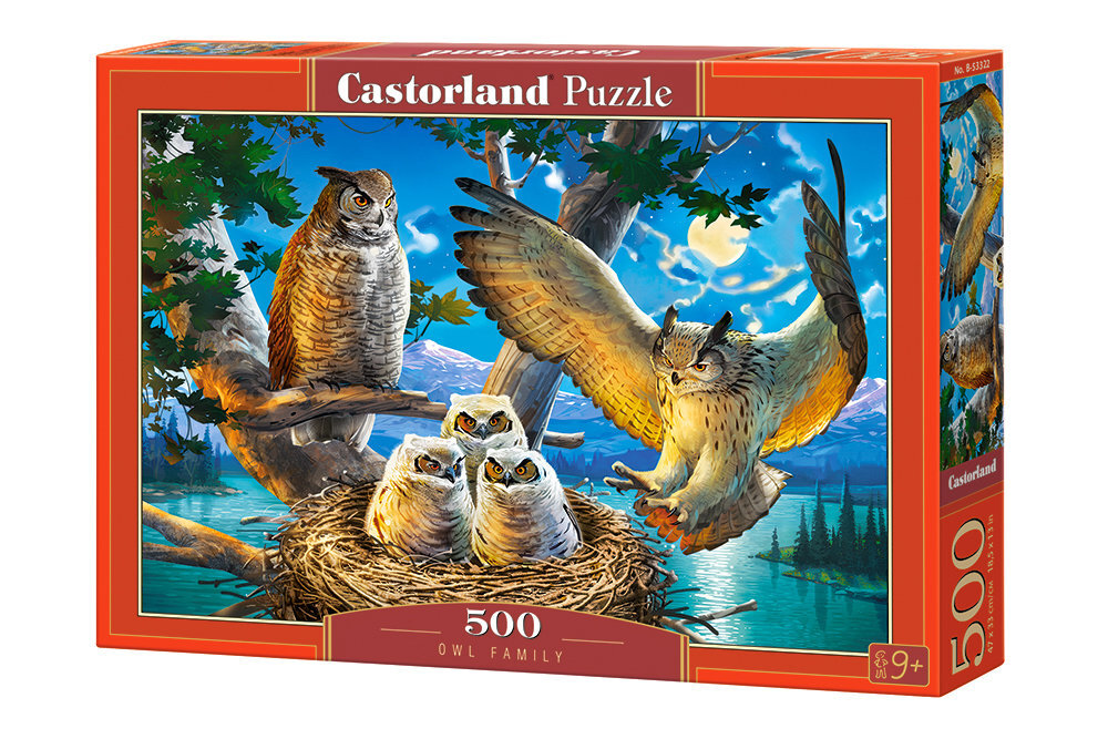 Dėlionė Owl Family Castorland, 500 d. kaina ir informacija | Dėlionės (puzzle) | pigu.lt