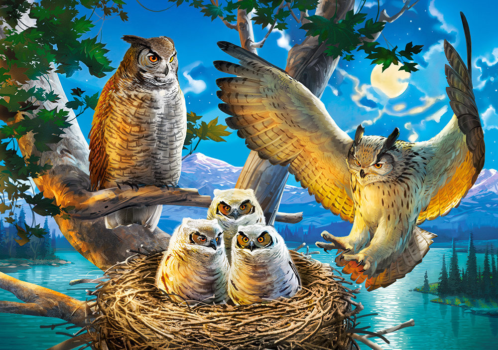 Dėlionė Owl Family Castorland, 500 d. kaina ir informacija | Dėlionės (puzzle) | pigu.lt