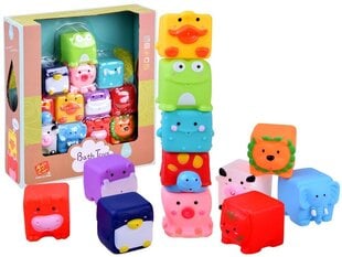 Водные игрушки TC Bath Toys Квадратные зверюшки, 12 ч. цена и информация | Игрушки для малышей | pigu.lt