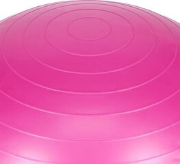 Гимнастический мяч One Fitness 10, 55 см цена и информация | Гимнастические мячи | pigu.lt