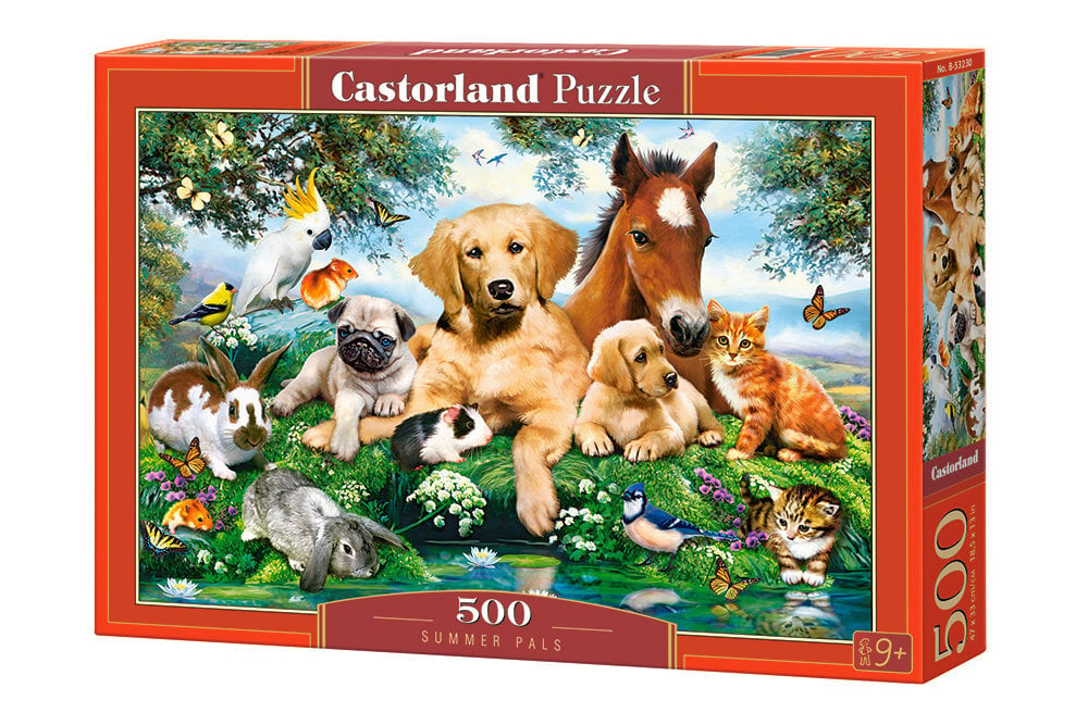 Dėlionė Castorland Puzzle Summer Pals, 500 d. kaina ir informacija | Dėlionės (puzzle) | pigu.lt