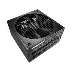 Fractal Design Ion+ 560W Platinum kaina ir informacija | Maitinimo šaltiniai (PSU) | pigu.lt