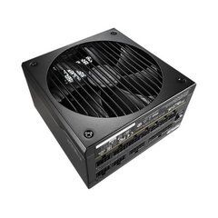 Fractal Design FD-PSU-IONP-660P-BK-EU kaina ir informacija | Maitinimo šaltiniai (PSU) | pigu.lt