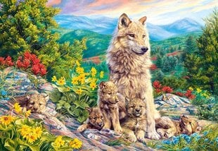 Dėlionė Castorland Puzzle New Generation, 1000 d. kaina ir informacija | Dėlionės (puzzle) | pigu.lt